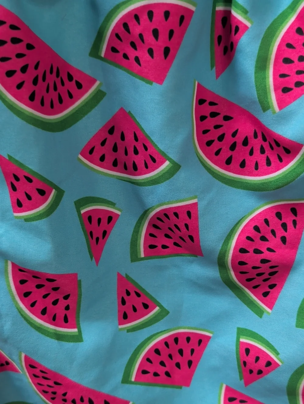 Cabana Bro , Watermelon Print Men's Swim Trunks. Size Large